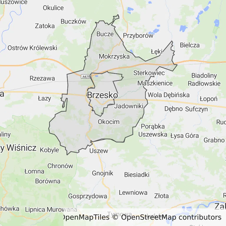 Mapa z zaznaczonym Brzeskiem