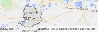 Mapa z zaznaczonym Brzeszczami