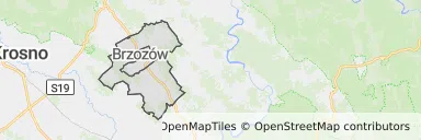Mapa z zaznaczonym Brzozowem