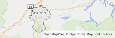 Mapa z zaznaczonym Gnieźnem