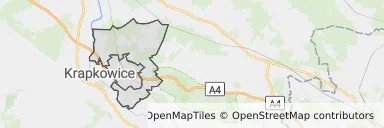 Mapa z zaznaczonym Gogolinem