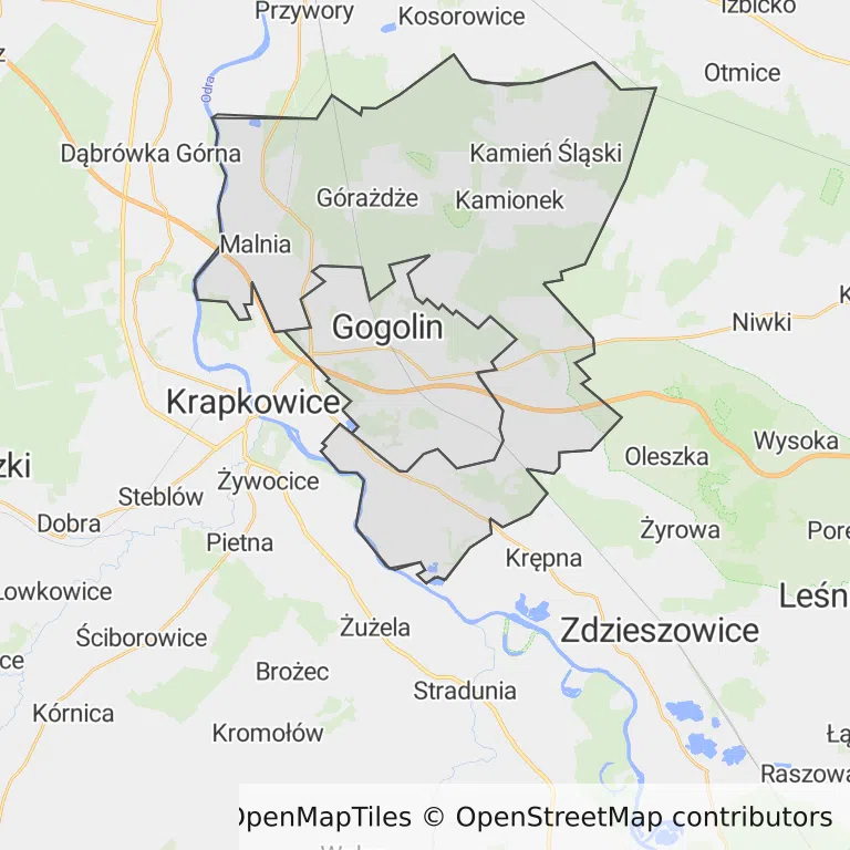 Mapa z zaznaczonym Gogolinem