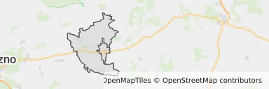 Mapa z zaznaczonym Gostyniu