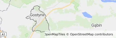 Mapa z zaznaczonym Gostyninem