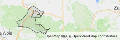 Mapa z zaznaczonym Janowie Lubelskim