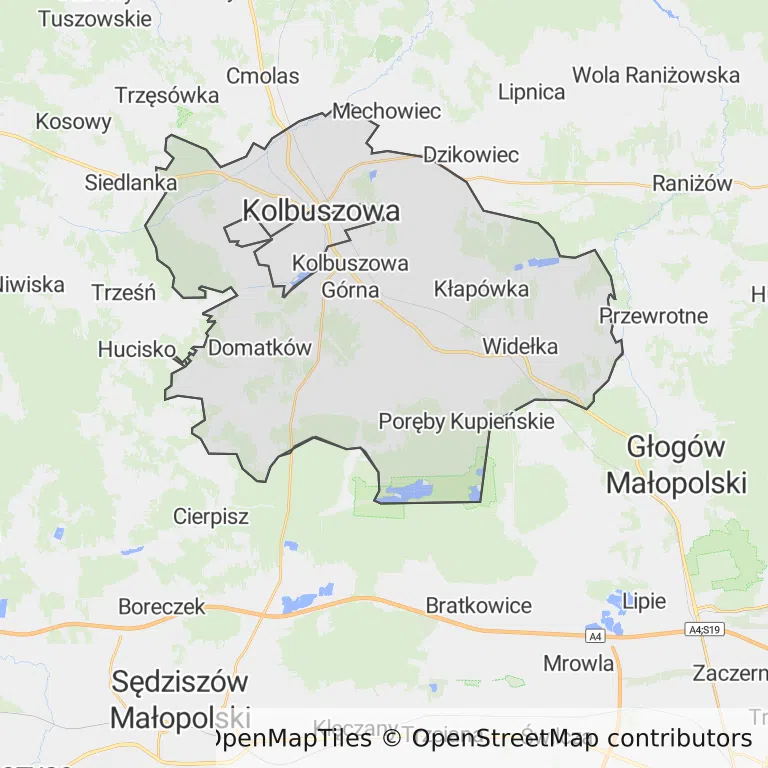 Mapa z zaznaczoną Kolbuszowem