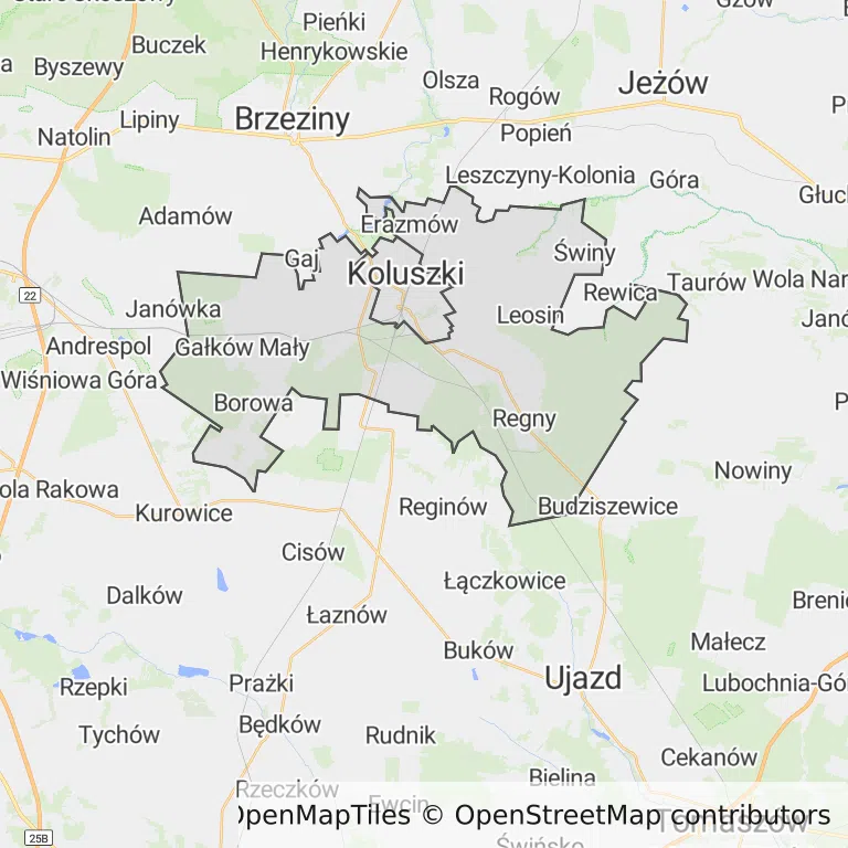 Mapa z zaznaczonym Koluszkami