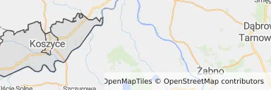 Mapa z zaznaczonymi Koszycami