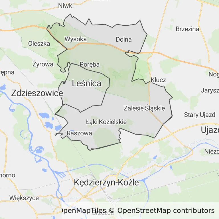 Mapa z zaznaczonym Leśnicy