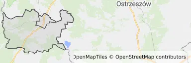 Mapa z zaznaczonym Międzyborzem