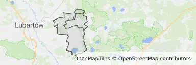 Mapa z zaznaczonym Ostrowie Lubelskim