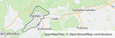 Mapa z zaznaczonym Pionkami