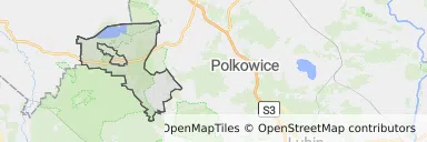 Mapa z zaznaczonym Przemkowem