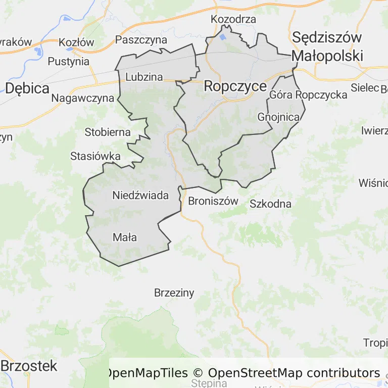 Mapa z zaznaczonymi Ropczycami