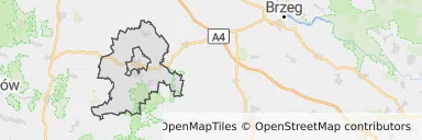 Mapa z zaznaczonym Strzelinem