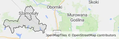 Mapa z zaznaczonym Szamotułami