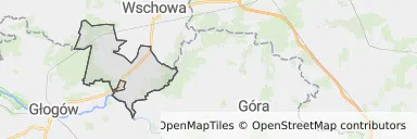 Mapa z zaznaczoną Szlichtyngowem