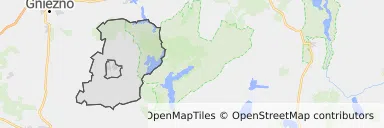 Mapa z zaznaczonym Witkowem