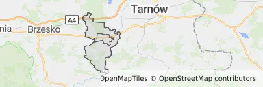 Mapa z zaznaczonym Wojniczem