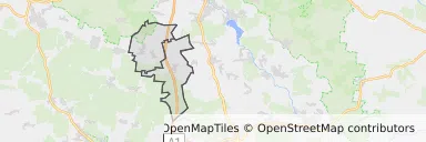 Mapa z zaznaczonym Woźnikami