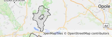 Mapa z zaznaczonymi Ziębicami